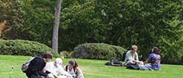 2 groups of students sitting on grass